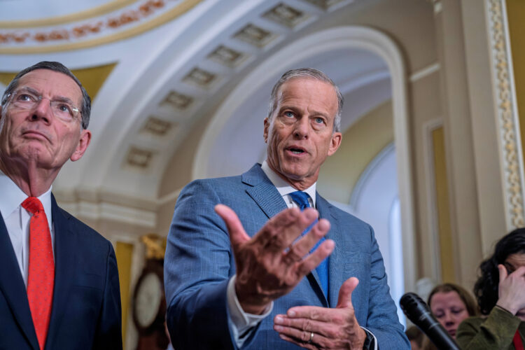 Republican voter ID bill stalls in Senate despite Trump demands